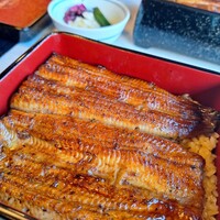 鰻割烹 伊豆栄 本店 -  鰻割烹 伊豆栄 本店 -