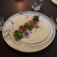 XEX ATAGO GREEN HILLS / Salvatore Cuomo Bros. - 