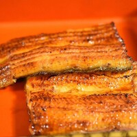 鰻割烹 伊豆栄 本店 -  鰻割烹 伊豆栄 本店 -