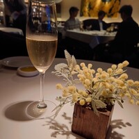 Wattle Tokyo - 