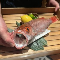 のどぐろ専門 銀座 中俣 - 