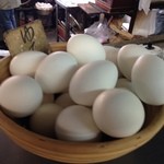 沖食堂 - ゆでたまご