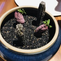 ル スプートニク - 