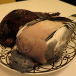 ラ・ヴァガボンド - メインの森鳩＆雷鳥