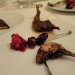 ラ・ヴァガボンド - 森鳩は頭も付きます