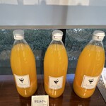 Fruit Chef The Shop - 