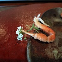 ザ コロネーション - 