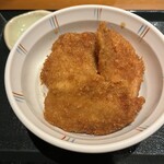 Echigo Nagaoka Kojima Ya - タレカツ丼❕