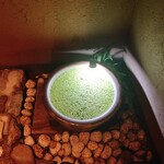 こたつ ねこ - 入り口近く