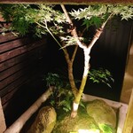 こたつ ねこ - 入り口近く