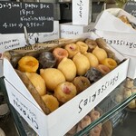 Raison d’etre 苦楽園 - 