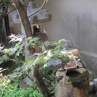 京都祇園 天ぷら八坂圓堂 - 