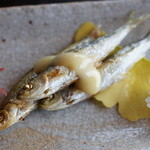 徳山鮓 - モロコ