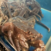 かに道楽 横浜店 - 