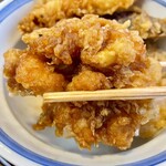 Ginza Tenichi - 天丼 ご飯大盛り 小海老のかき揚げ