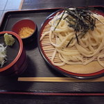 手打ちうどん 家康 - “ざる”