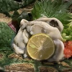 魚酔庭 - 牡蠣