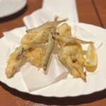 オステリア フルボ - 