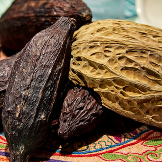 亚马逊产的果味可可豆也可作为食材使用