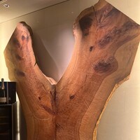 焼肉エクセレント 銀座店 - 