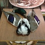 稲毛屋 - 解体された鴨さん、精肉は商品ケースに。