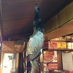 稲毛屋 - 解体前の鴨さん