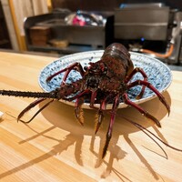 中洲 松 - 