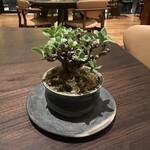 CYCLE by Mauro Colagreco - 