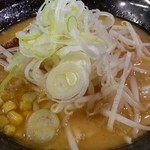 しょうゆのおがわや - 味噌ラーメン　ネギ増し2013.12