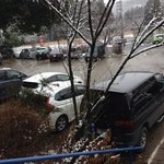 森のピザ工房 ルヴォワール - 出る頃には満車！