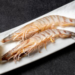 Live shrimp (2 pieces)