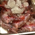 寿司処 博 - 2013, Dec　珍しいもんが入ってました。