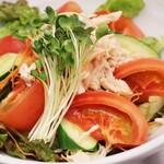 steamed chicken and tomato salad