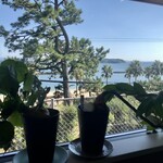 BOTANICAL DELI NAGIITA - 