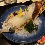 幸せ料理　きたはち - 泳ぎアオリイカの刺身