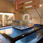 大宮 甲羅本店 - 