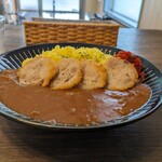 小さなカレー家こいずみ - カレー700円＋かつ150円