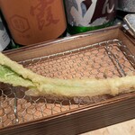 Tempurasakabanakashou - 春のお野菜うるい。なんと丸々一本です!ネギのような...でも粘りがあり優しい味。