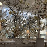 HAUTE COUTURE CAFE OMOTESANDO - 店内