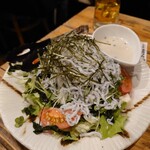 Saninkaisen Robata Kaba - しらすと豆腐の塩ダレサラダ