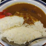 名代 富士そば - カレー