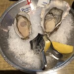 Oyster Bar ジャックポット - 