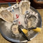 Oyster Bar ジャックポット - 