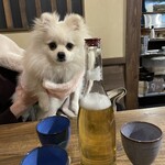 犬茶屋本舗 - 