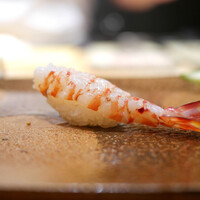 天寿し 京町店 - 「車海老」半茹 2018年6月