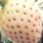 ストロベリーフィールズ - 白雪姫