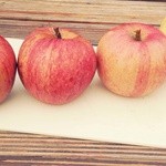 松村りんご園 - 