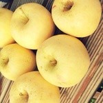 松村りんご園 - ぐんま名月