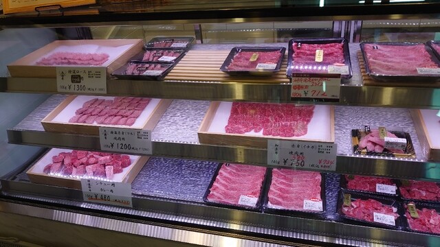 Kikui Takahashi photo 4