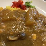 カレー専門店 ビィヤント - 私の｢ベジタブルカレー｣は大根、人参、豆などが入っていて欧風カレーっぽくないよ。